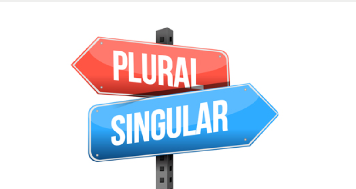 Database Table Name Singular Vs Plural