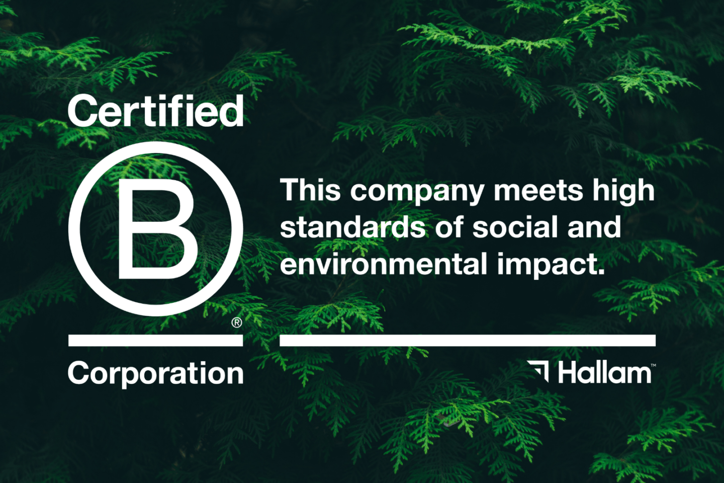 We're Officially B Corp™ Certified — Hallam